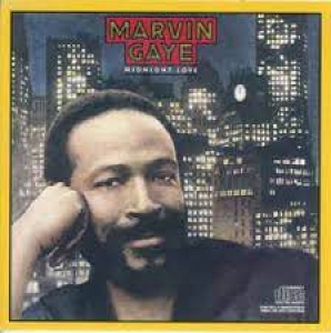 Marvin Gaye - midnight love (CD)