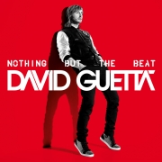 David Guetta - Nothing But the Beat CD DUPLO