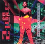 2pac - Strictly 4 My N.I.G.G.A.Z. IMPORTADO
