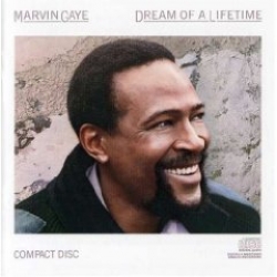 Marvin Gaye - Dream of a Lifetime