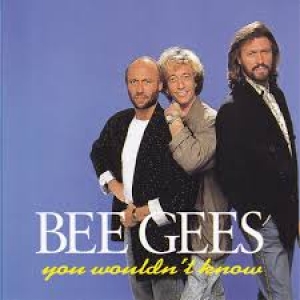 Bee Gees - You Wouldnt Tebow (CD)